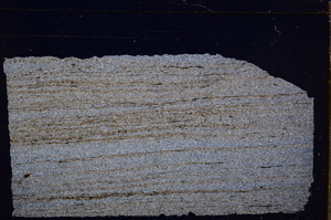 Cross Polarized, E30198