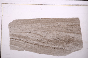 Plane Polarized, E30199