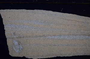 Cross Polarized, E30200