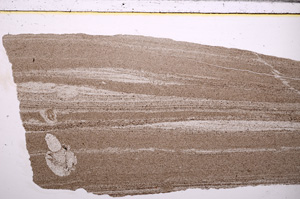 Plane Polarized, E30200