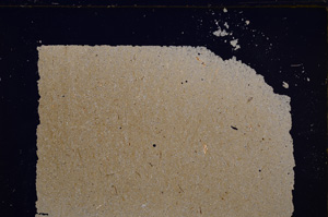 Cross Polarized, E30201