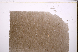 Plane Polarized, E30201