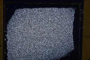 Cross Polarized, E30202