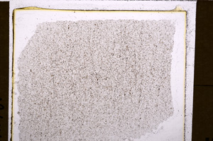 Plane Polarized, E30202