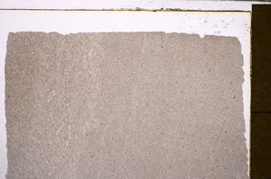 Plane Polarized, E30203