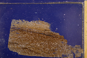 Cross Polarized, E30213