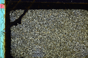 Cross Polarized, E30223