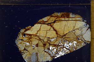 Cross Polarized, E30257