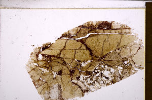 Plane Polarized, E30257