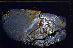 Cross Polarized, E30258