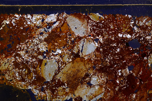 Cross Polarized, E30259