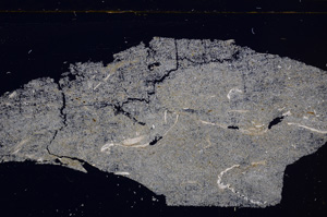 Cross Polarized, E30279