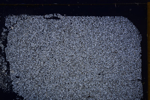 Cross Polarized, E30292