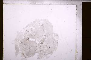 Plane Polarized, E30294