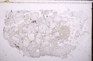 Plane Polarized, E30297