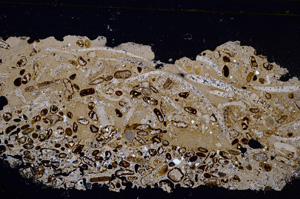 Cross Polarized, E30332