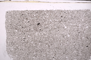 Plane Polarized, E30361