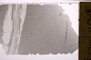 Plane Polarized, E30362