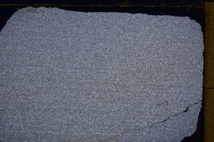 Cross Polarized, E30363