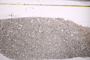 Plane Polarized, E30364