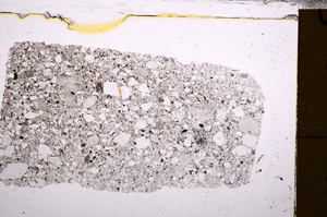 Plane Polarized, E30365