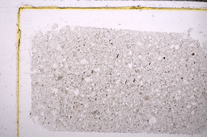 Plane Polarized, E30404