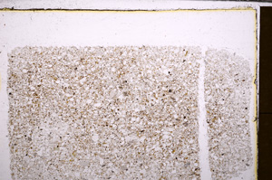 Plane Polarized, E30411