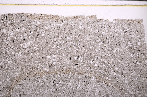 Plane Polarized, E30412