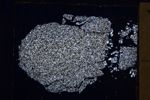 Cross Polarized, E30413