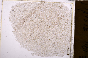 Plane Polarized, E30414