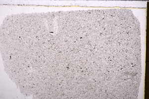 Plane Polarized, E30415