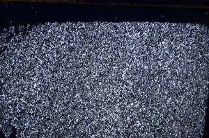 Cross Polarized, E30438