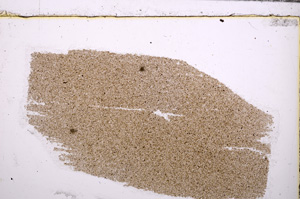 Plane Polarized, E30447