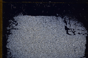 Cross Polarized, E30452