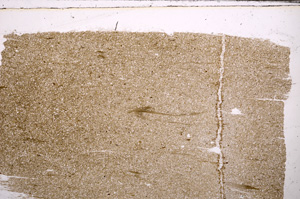 Plane Polarized, E30465