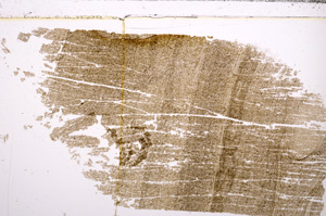 Plane Polarized, E30474
