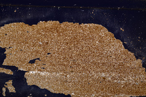 Cross Polarized, E30484