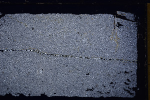 Cross Polarized, E30496