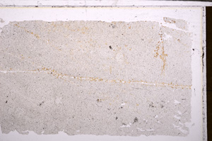 Plane Polarized, E30496