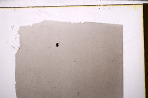 Plane Polarized, E30504