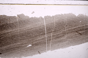 Plane Polarized, E30506