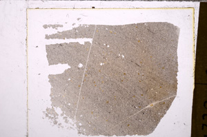 Plane Polarized, E30507