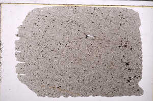 Plane Polarized, E30542