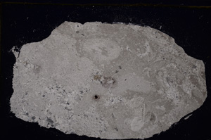 Cross Polarized, E30547