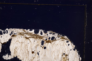 Cross Polarized, E30550