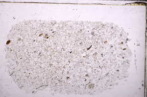 Plane Polarized, E30554