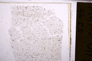 Plane Polarized, E30556