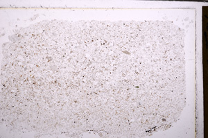 Plane Polarized, E30559