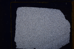 Cross Polarized, E30571