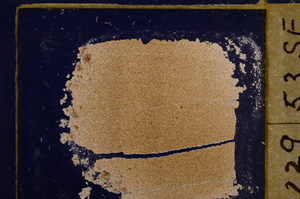 Cross Polarized, E30593